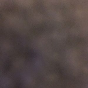 Meet your Posher, Winnie